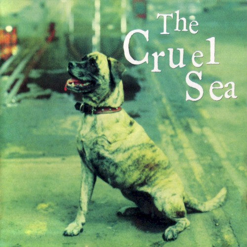 Three Legged Dog cover